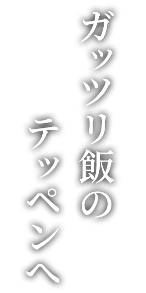 ガッツリ飯のテッペンへ